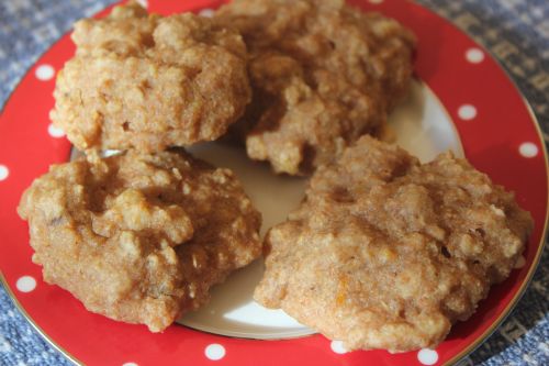 2013-01 orange oatmeal cookies